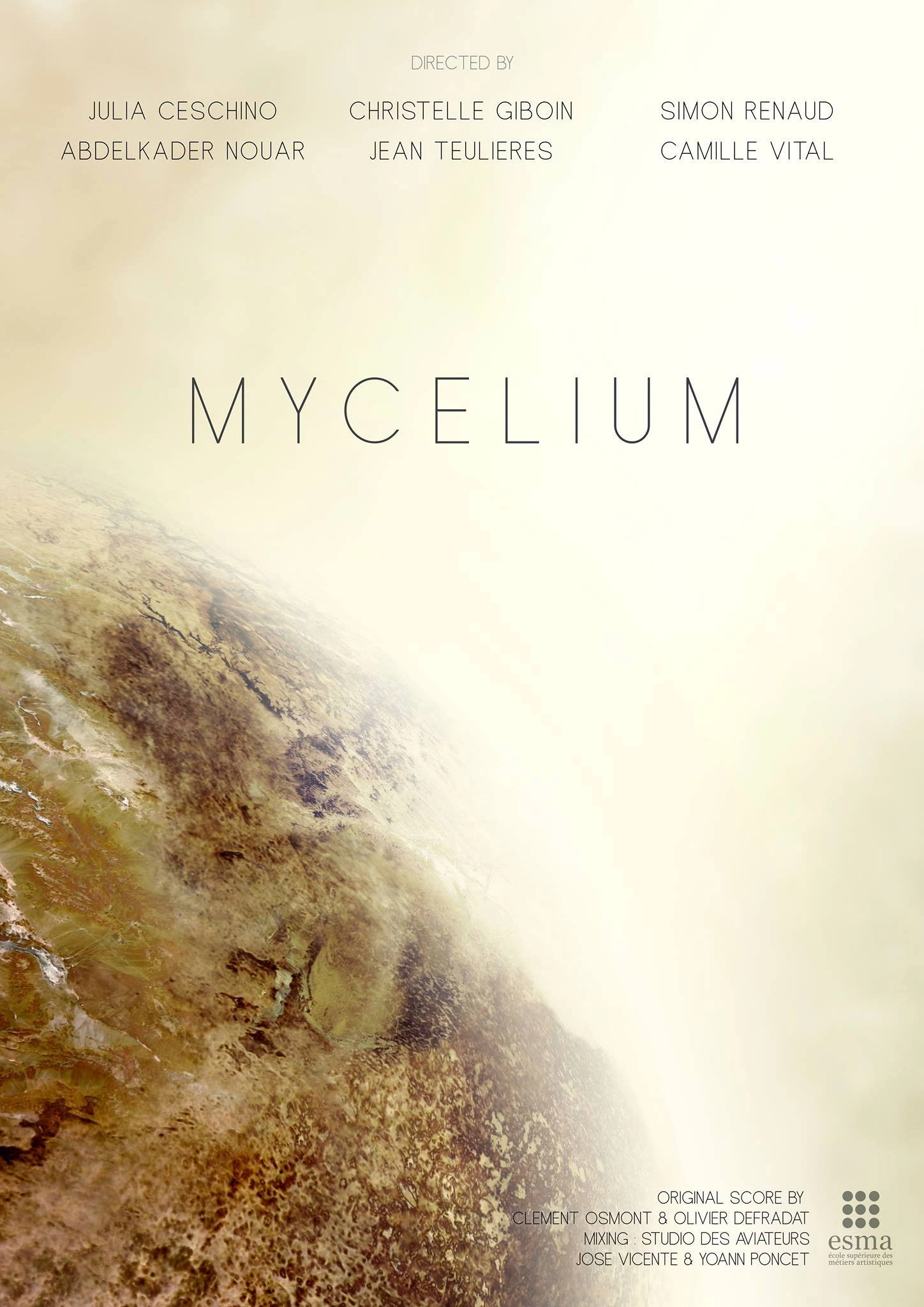 Mycelium