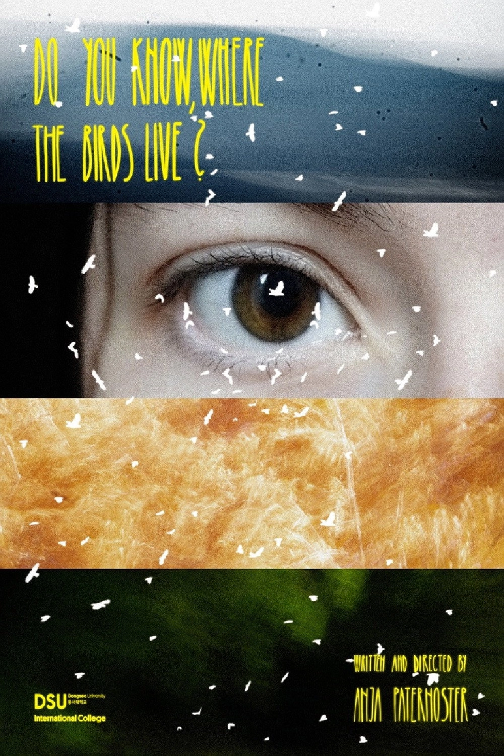 Do You Know, Where the Birds Live?