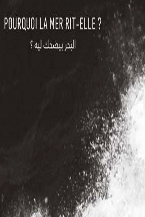 Why Does the Sea Laugh?