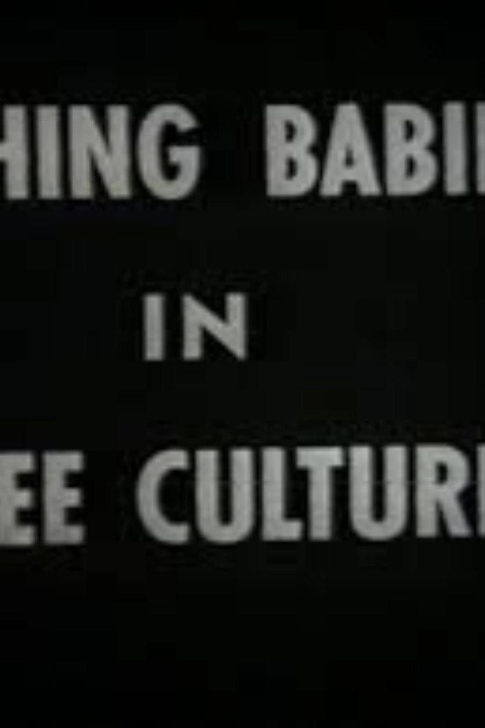 Bathing Babies in Three Cultures