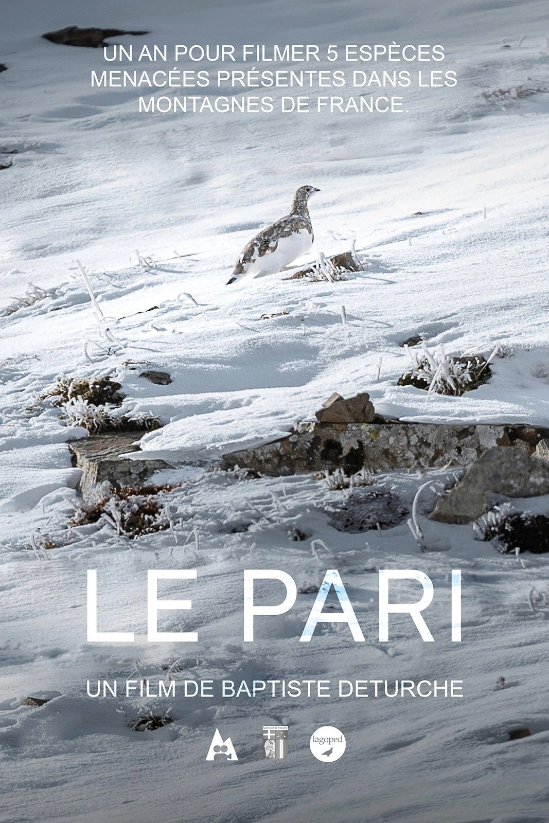 Le pari