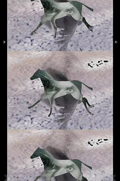 Third Reality 2