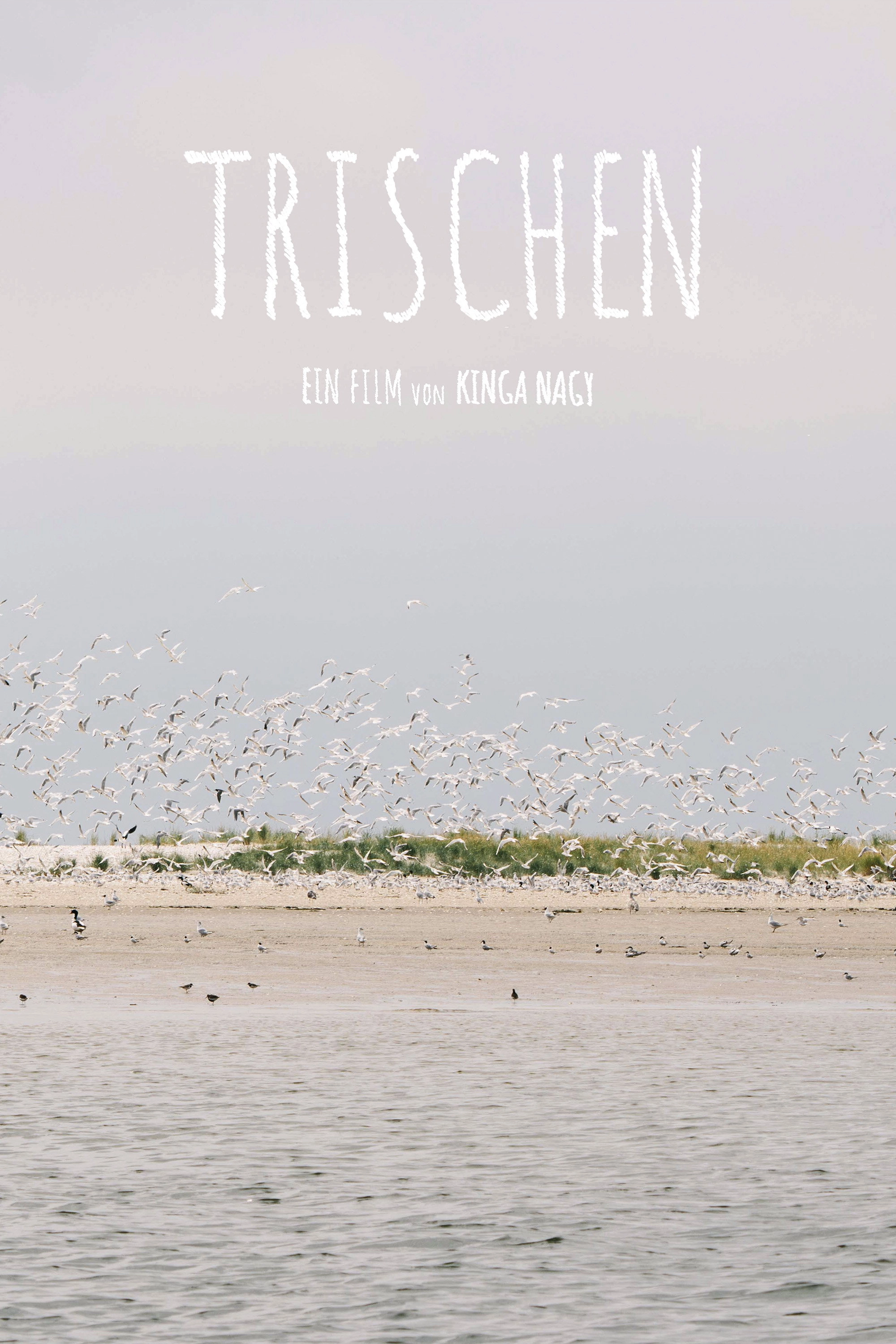 Trischen