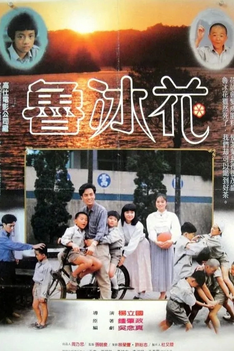 鲁冰花