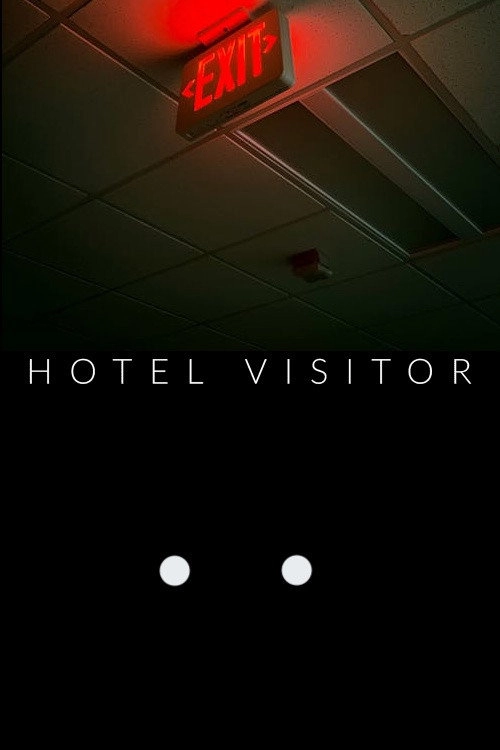 Hotel Visitor