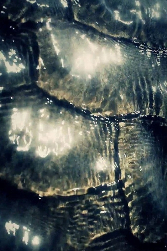 Ocean