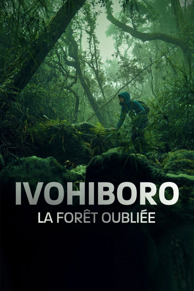 Ivohiboro, The Lost Forest