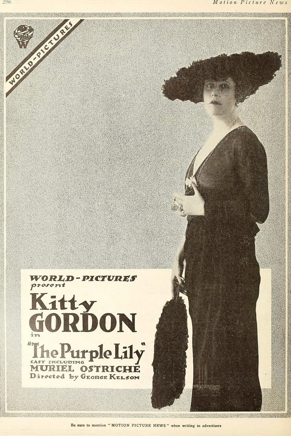 The Purple Lily