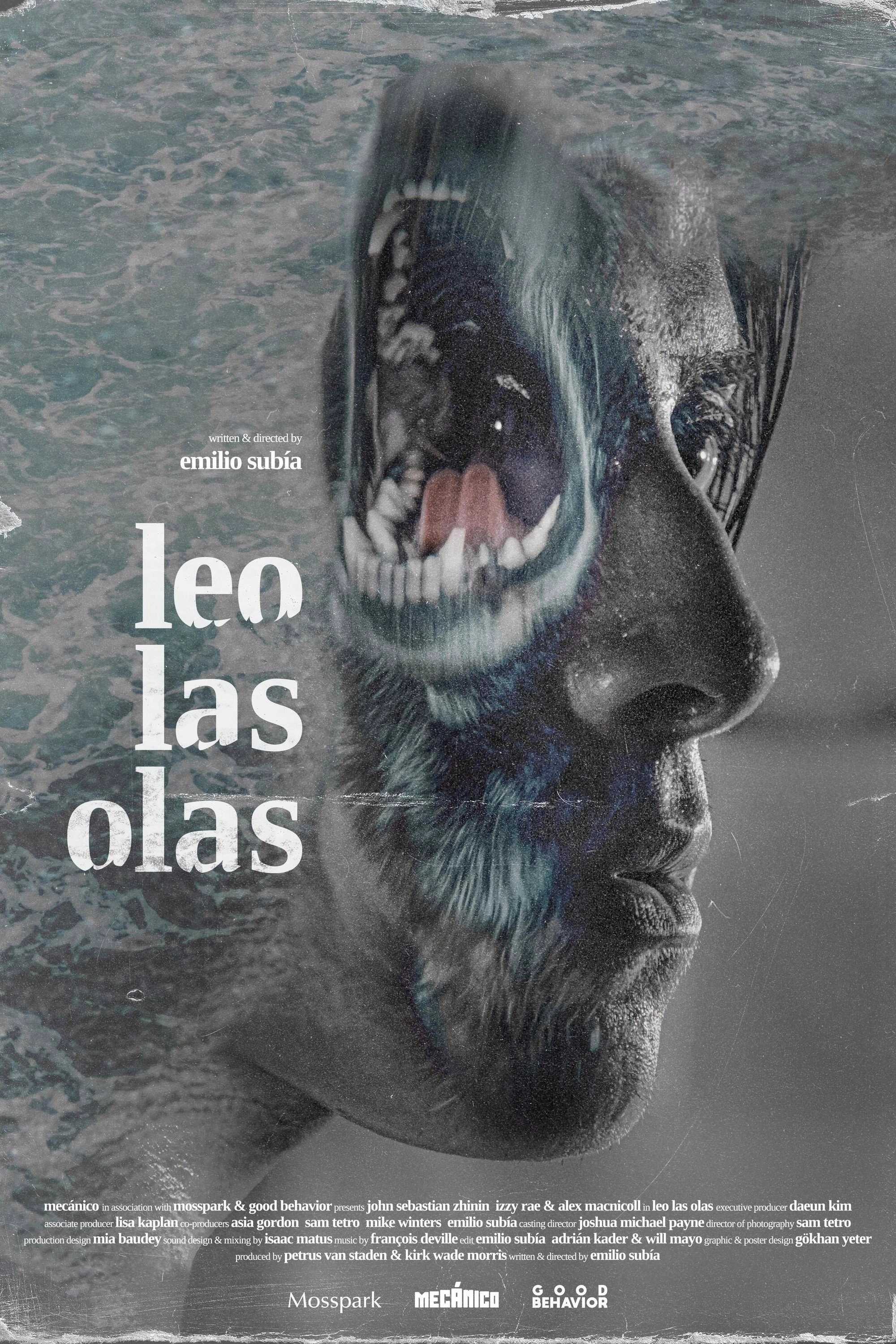 Leo las olas