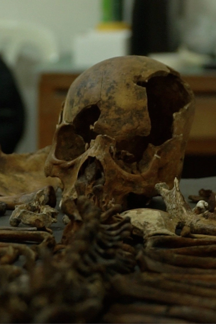 Bones of Truth