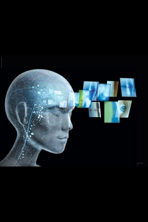 What Is Consciousness?