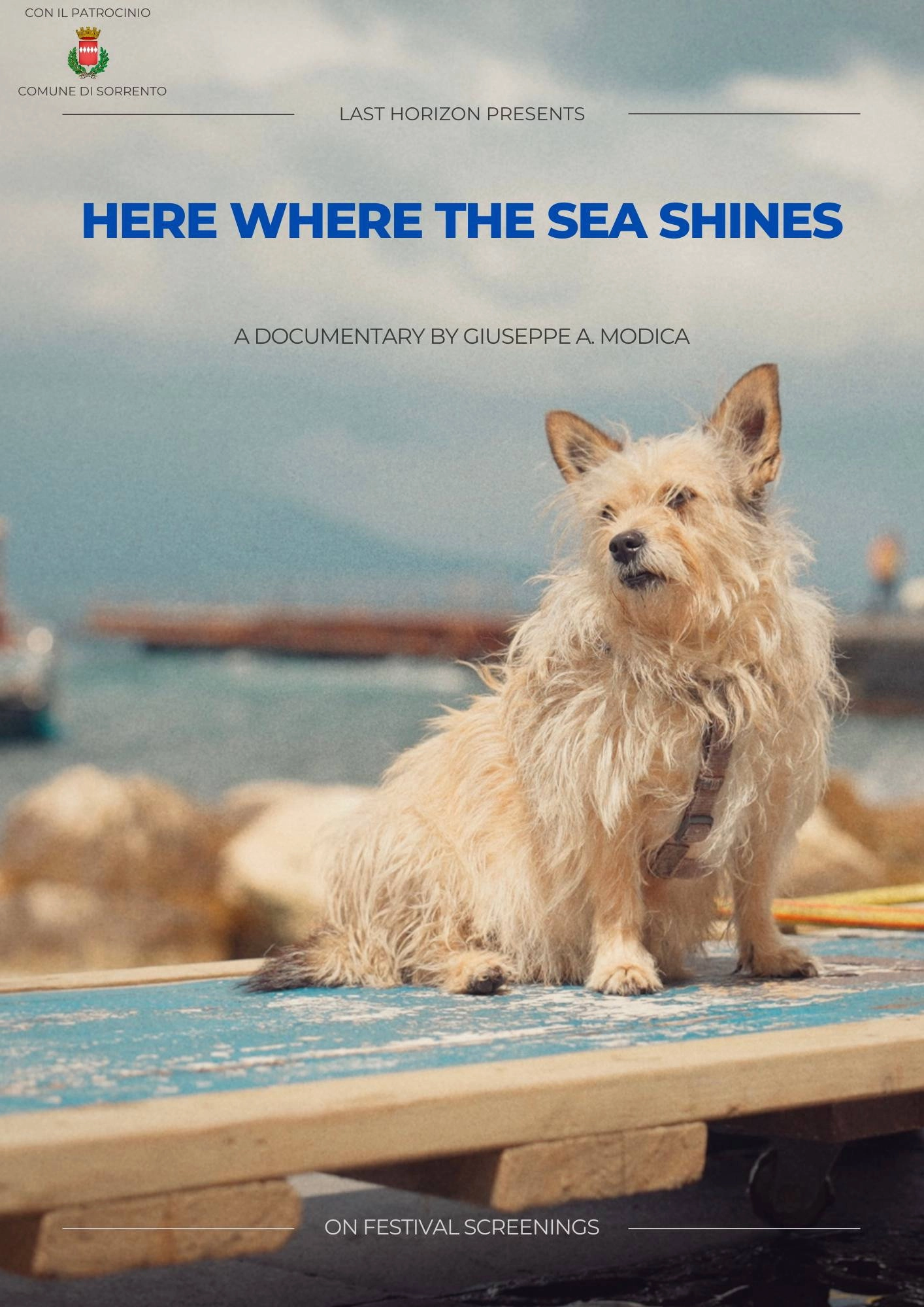 Here where the sea shines
