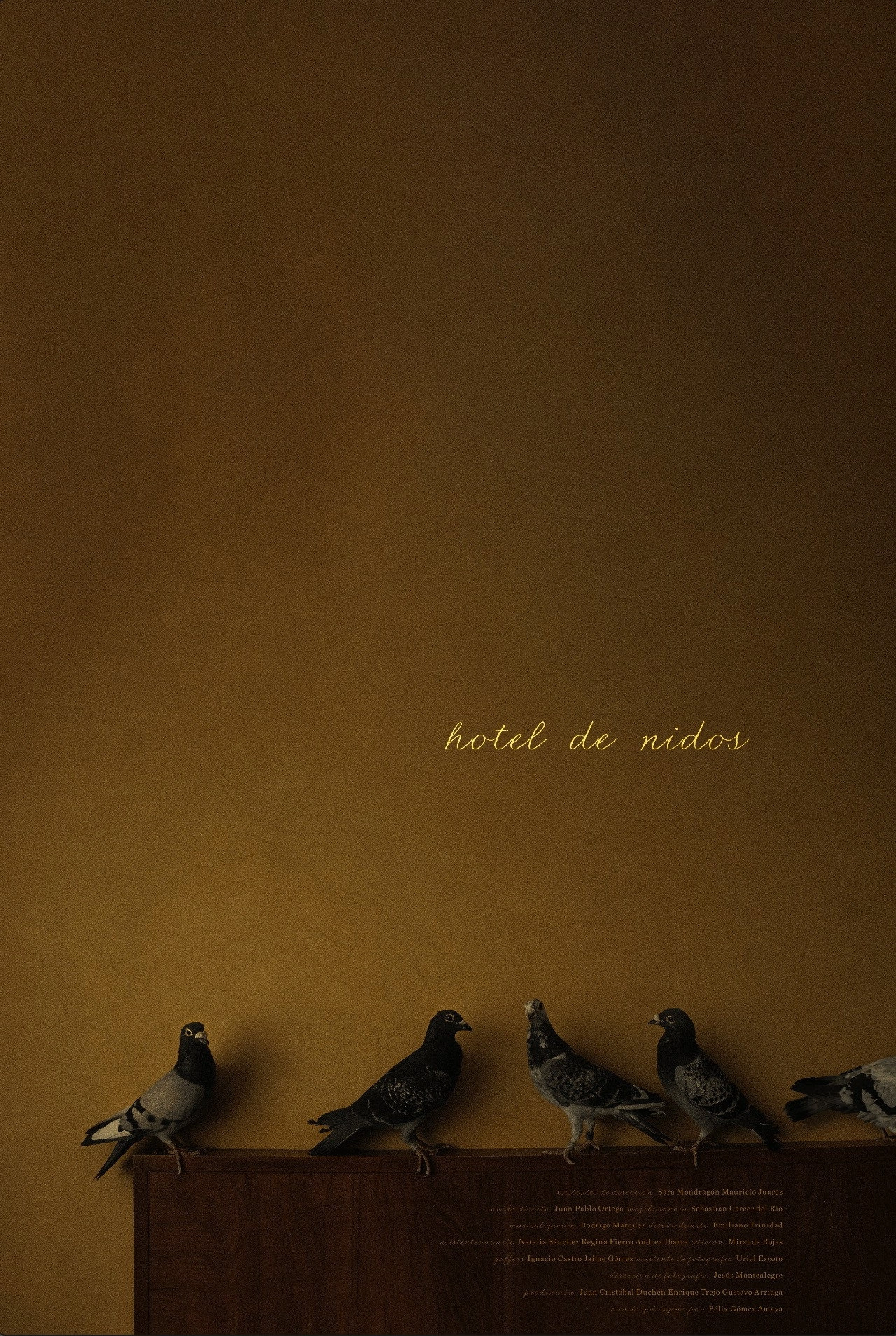 Hotel nests