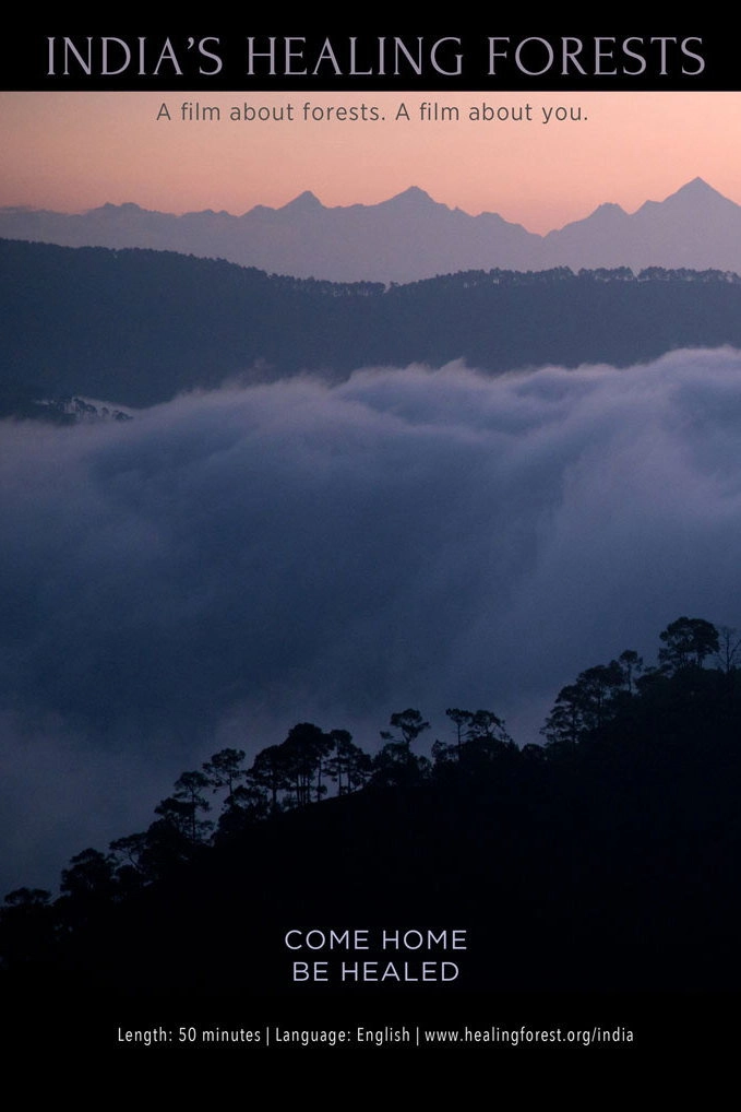 India's Healing Forests