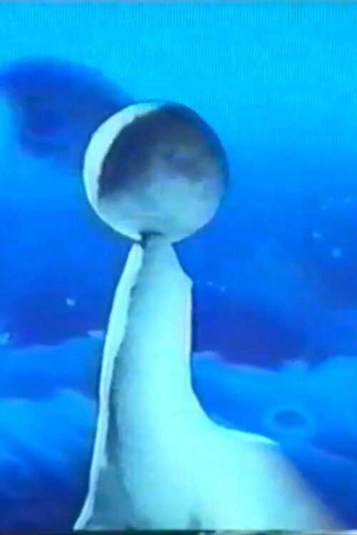 Inversion