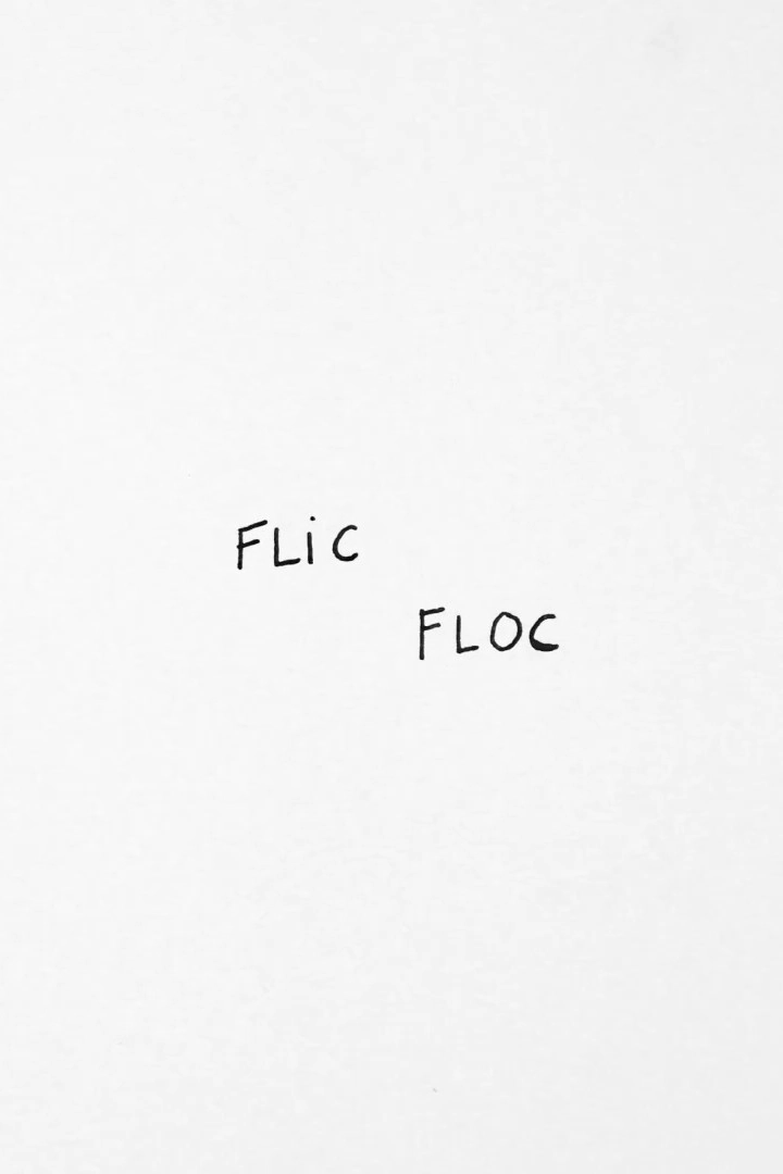 Flic Floc