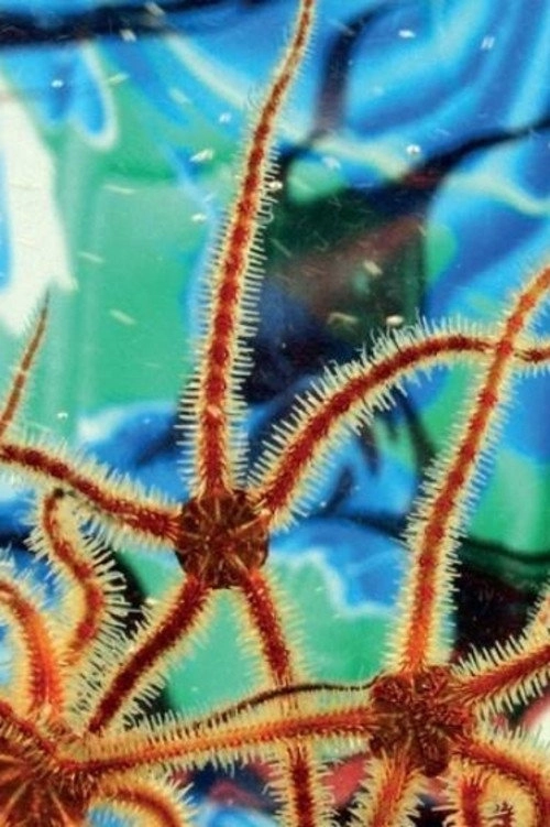 Aquariums