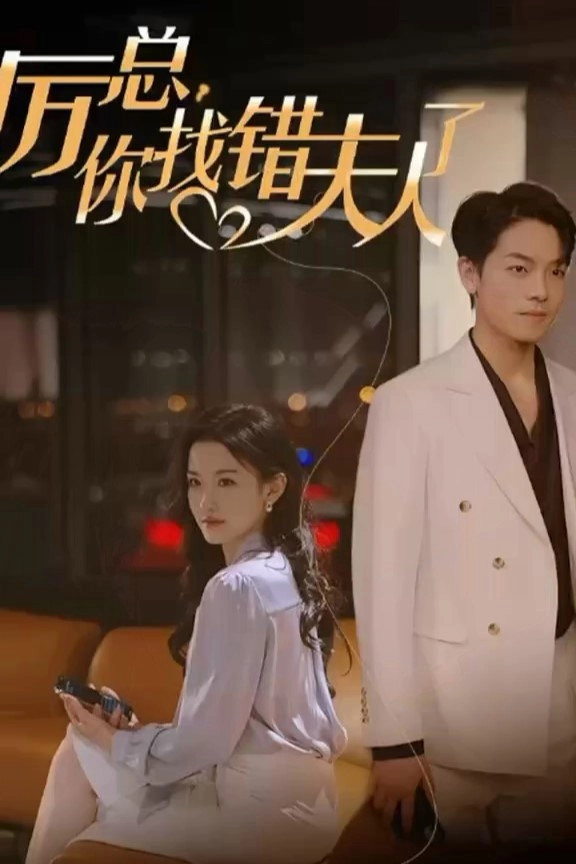 Mr. Li, You Have Found the Wrong Lady