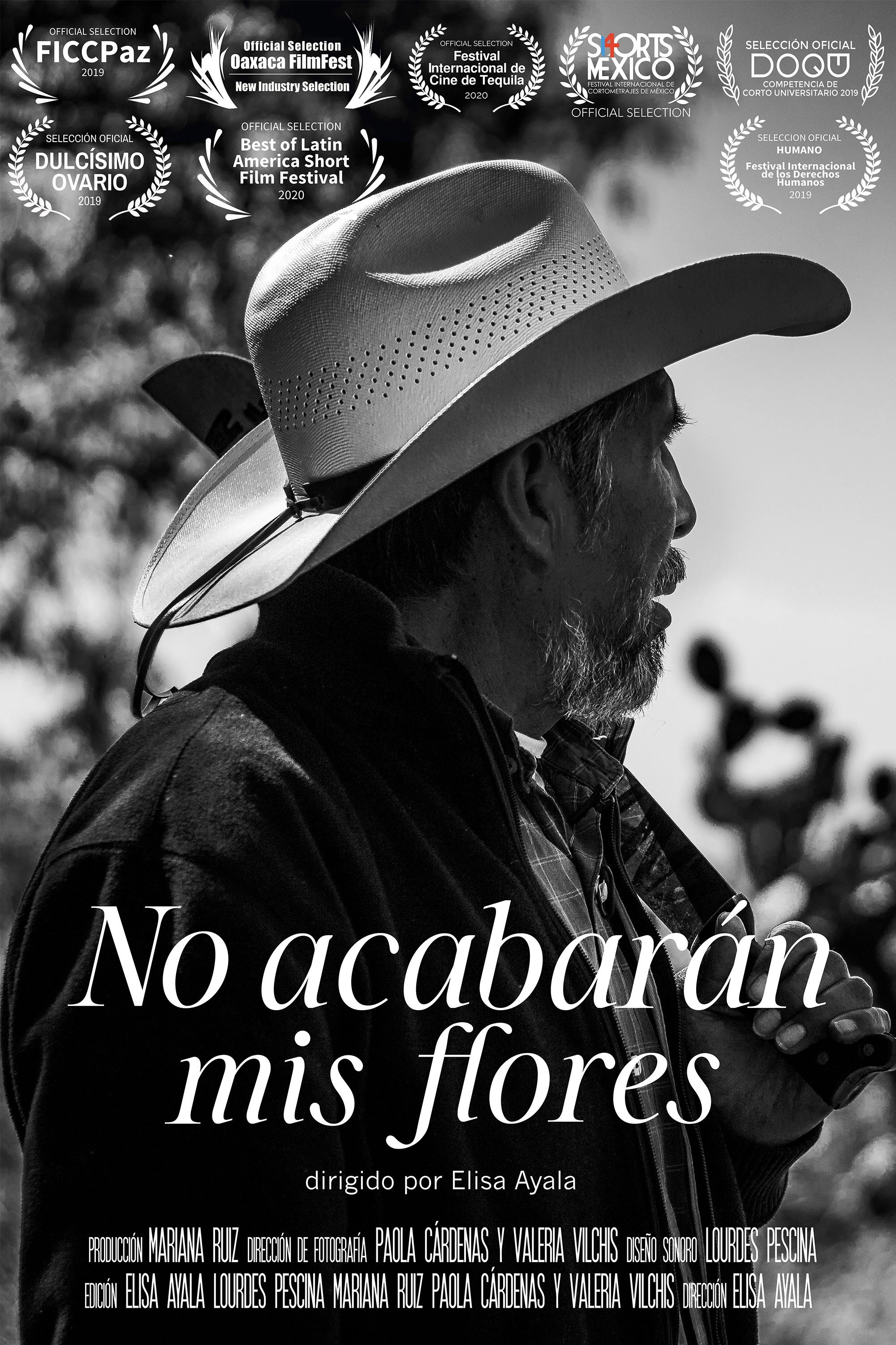 My flowers will not die