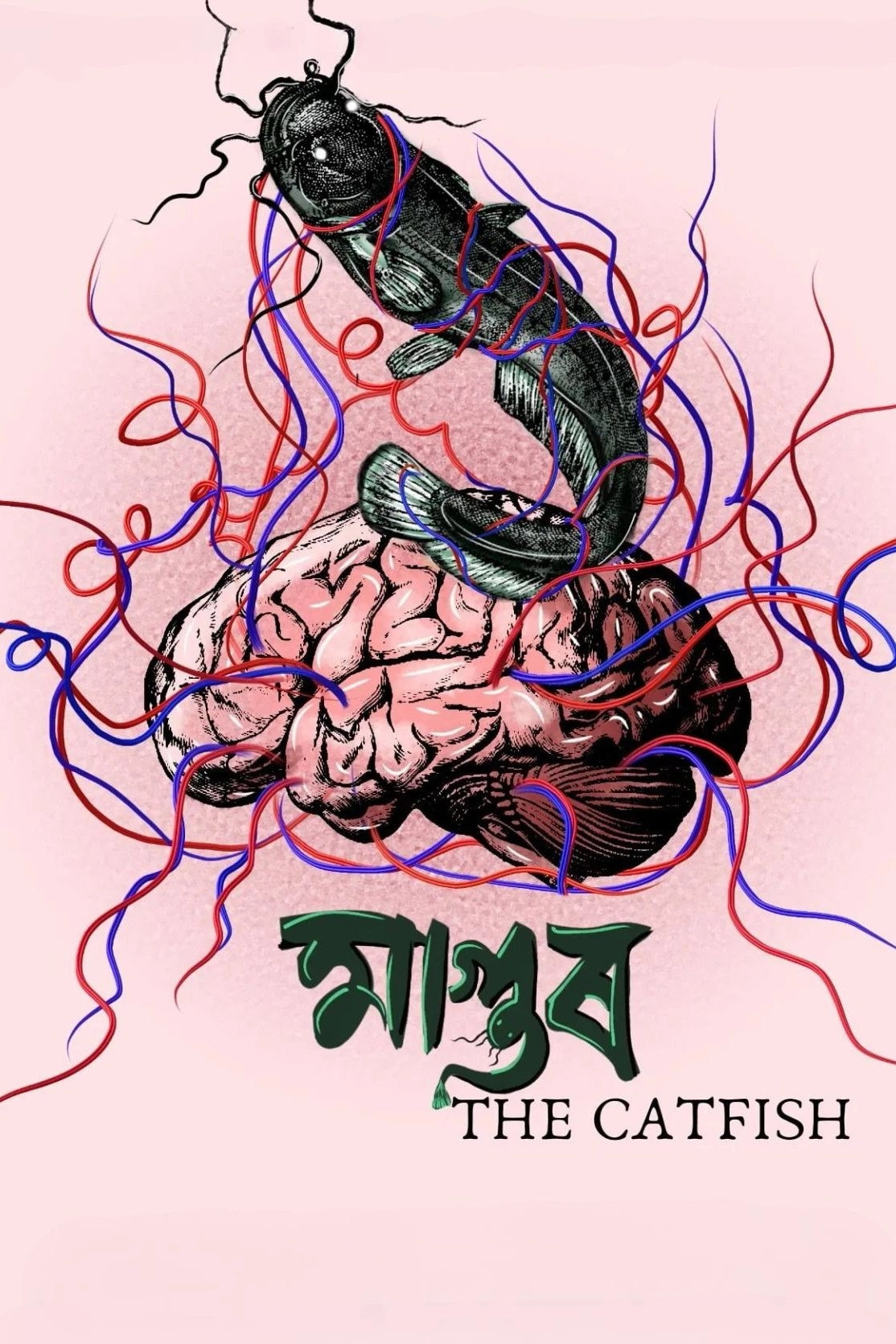 The Catfish