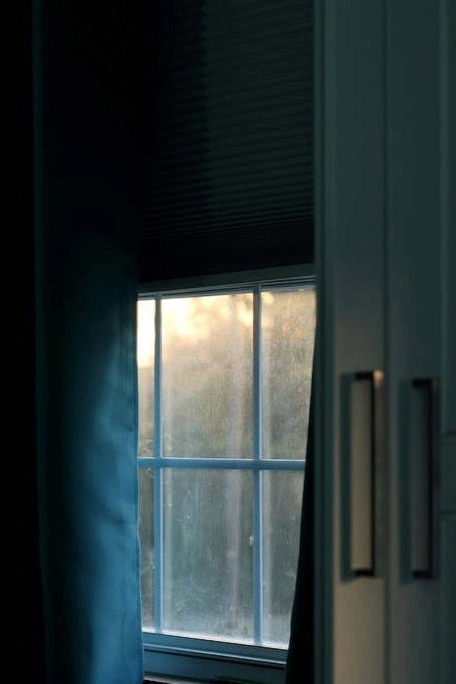 When Light Takes Form