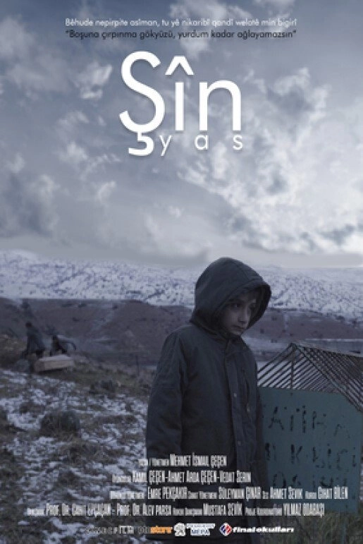 Şîn