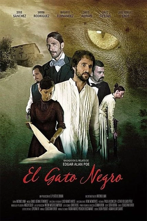 El gato negro