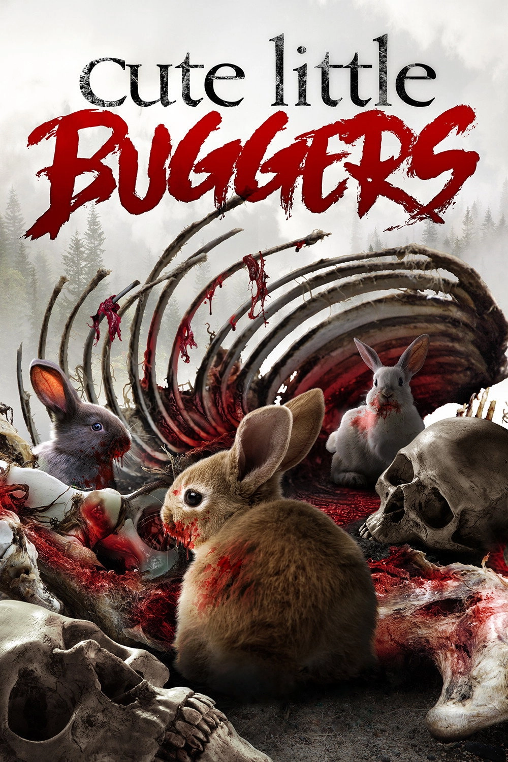 Cute Little Buggers