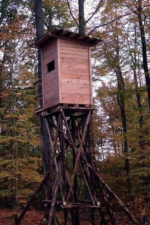 Highly Perched