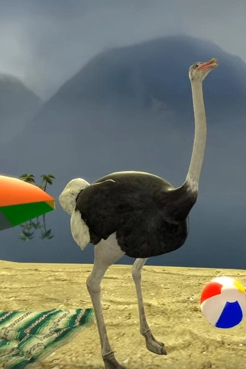 Beach Berd
