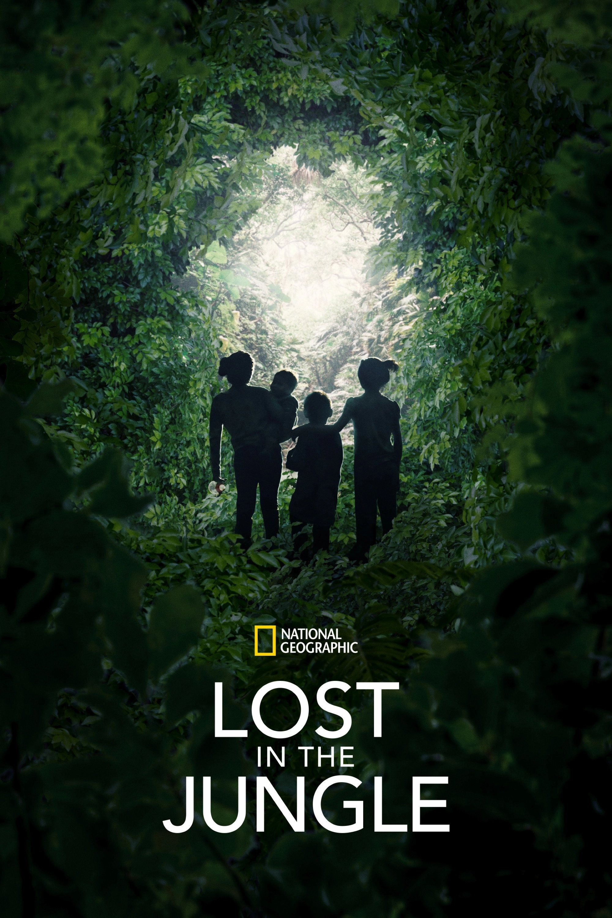 Lost in the Jungle