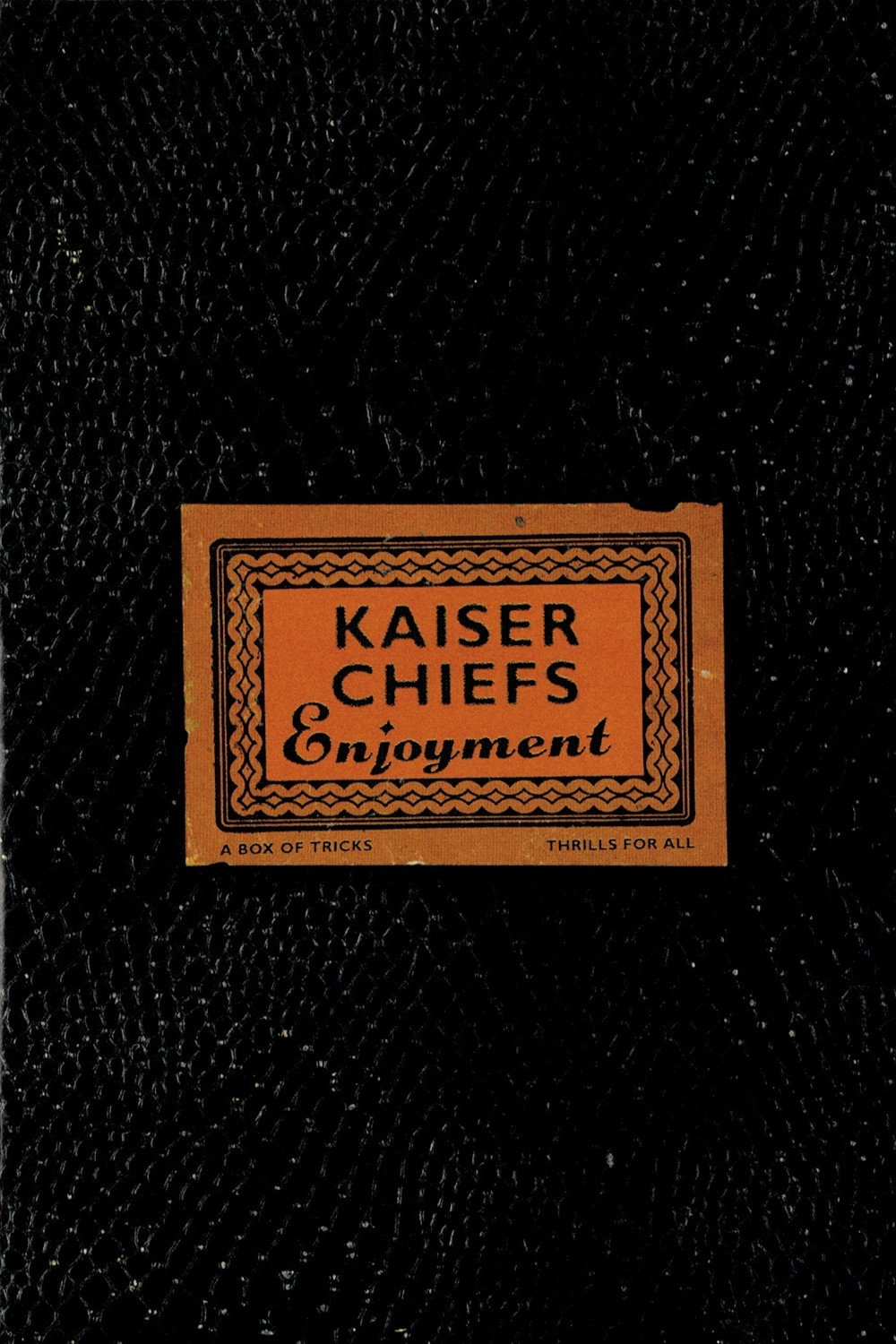 Kaiser Chiefs: Enjoyment
