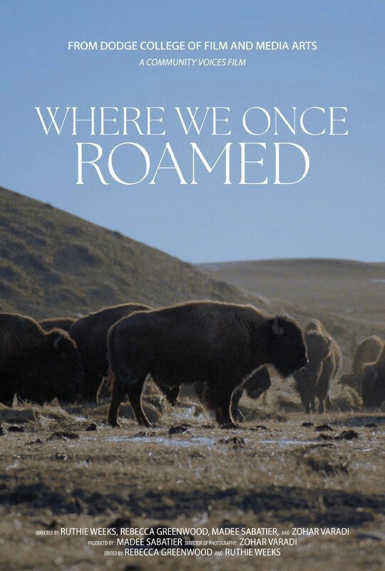 Where We Once Roamed
