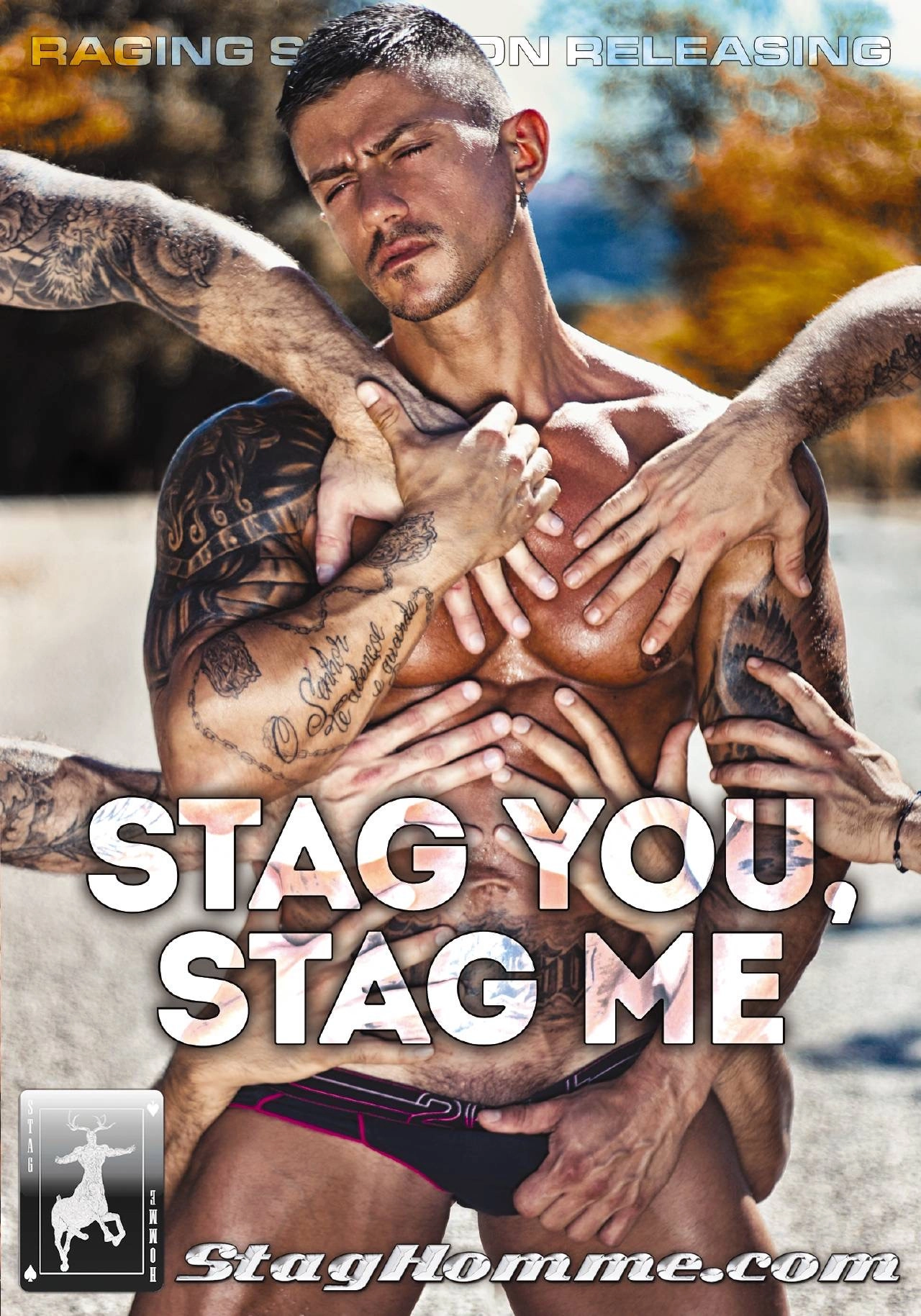 Stag You, Stag Me