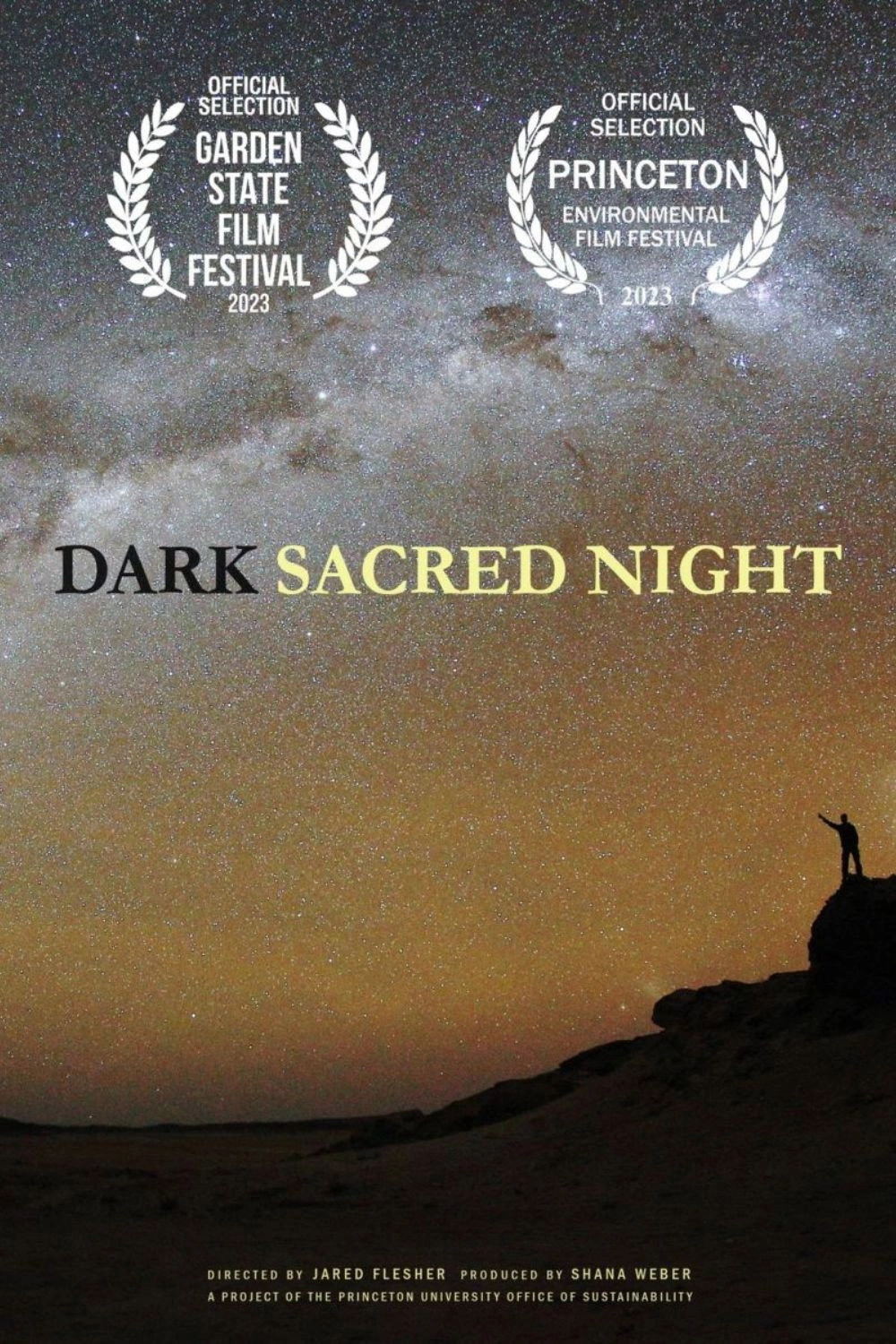 Dark Sacred Night