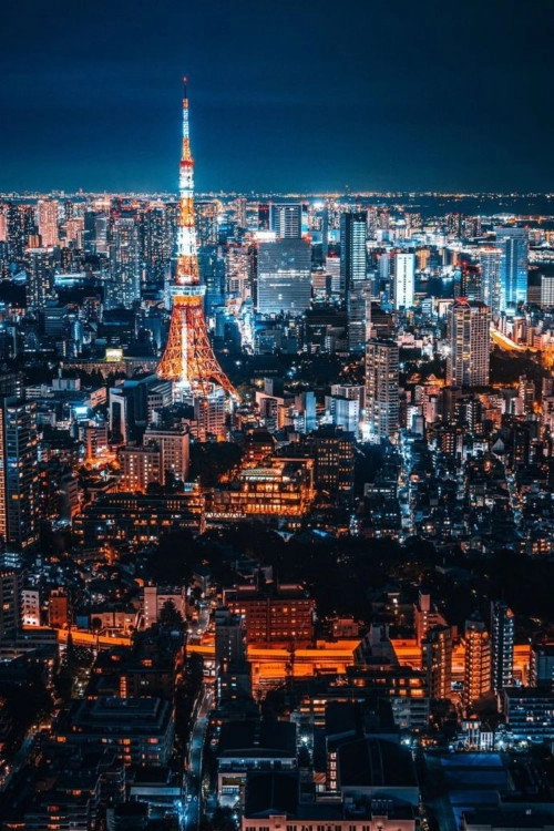 东京的夜景