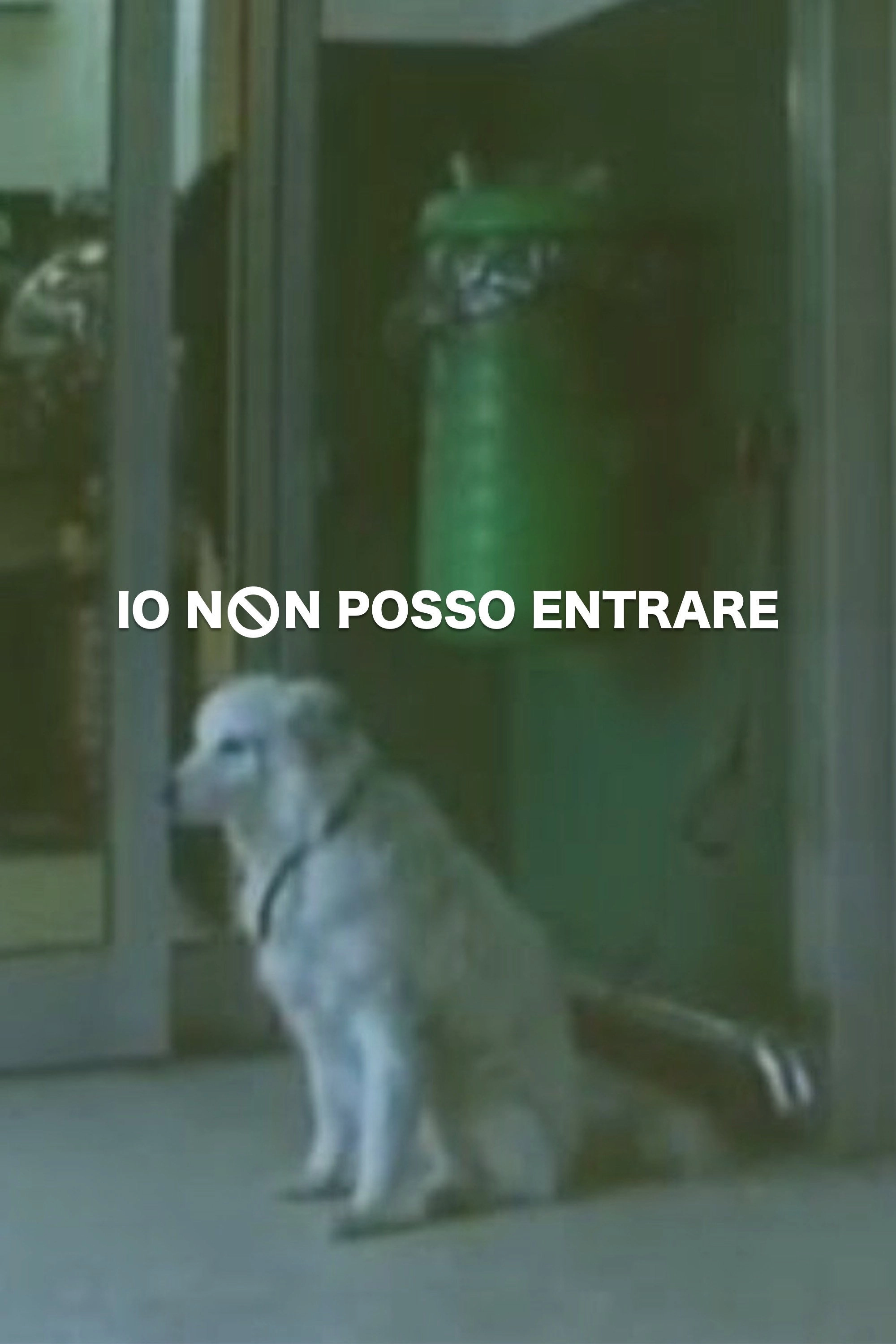 Io non posso entrare