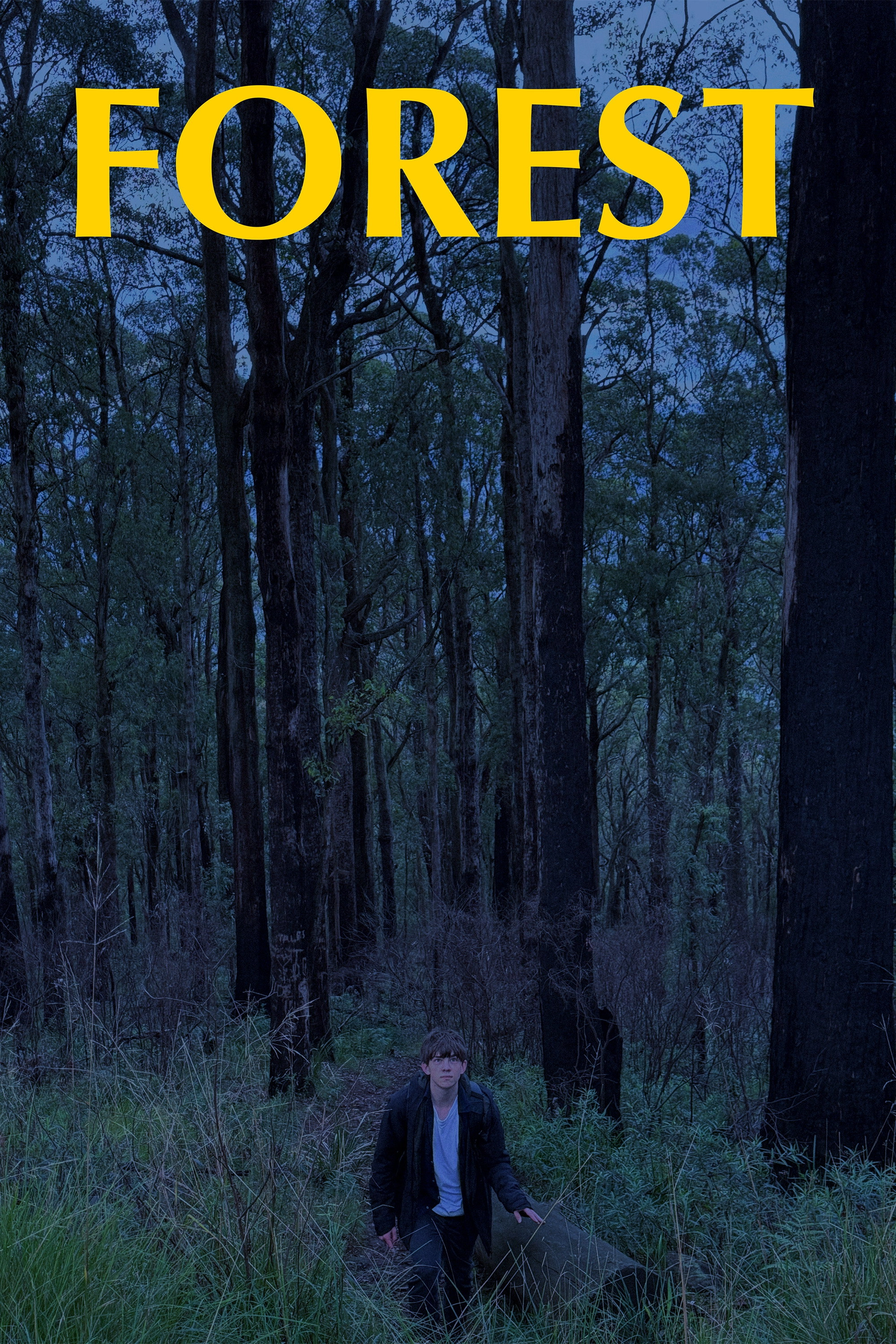 FOREST