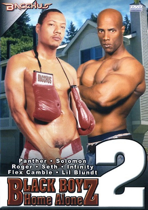 Black Boyz Home Alone 2