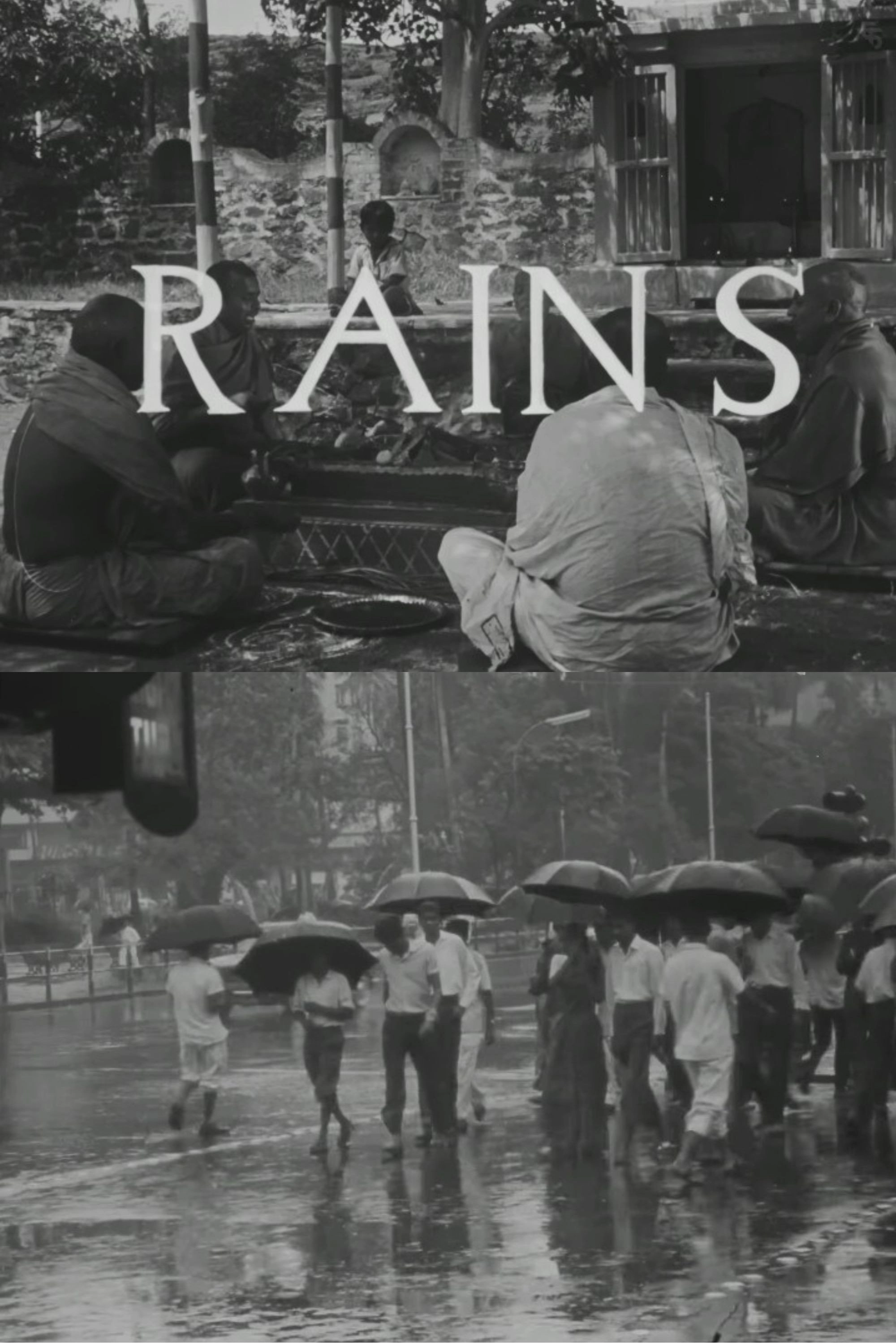 Rains