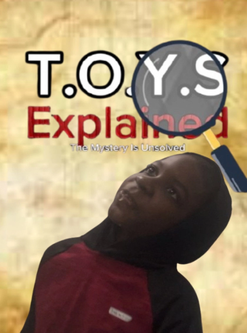 T.O.Y.S Explained