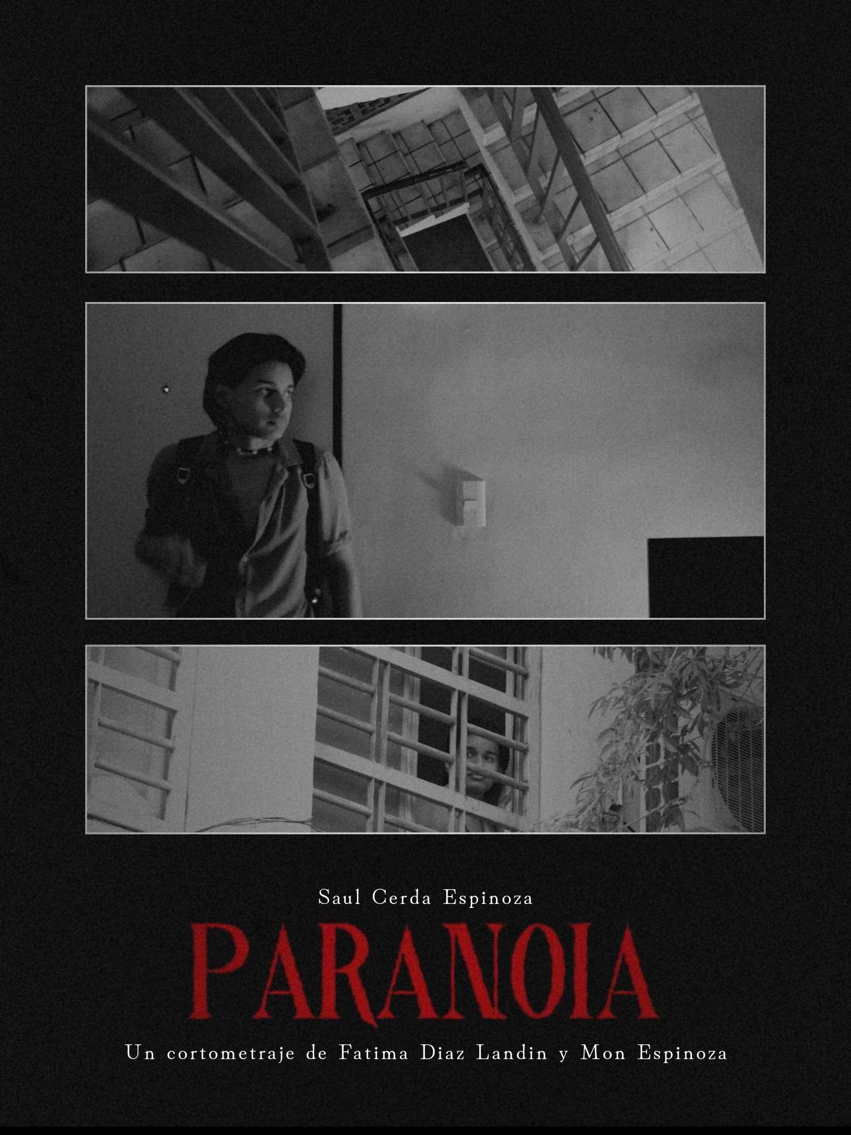 Paranoia
