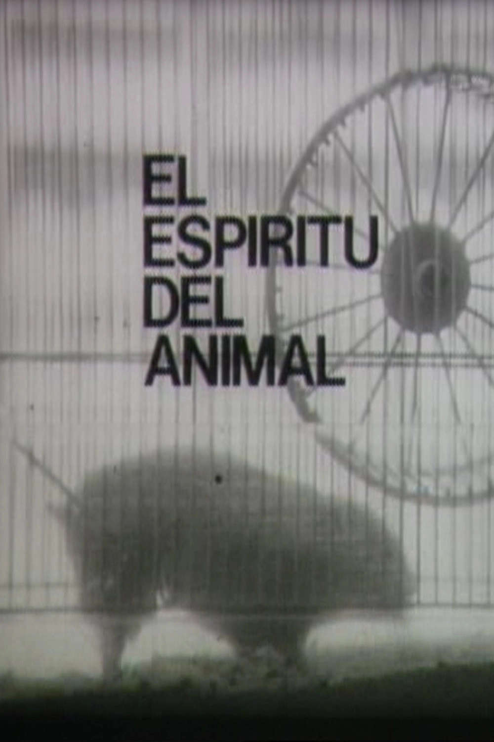 El espíritu del animal