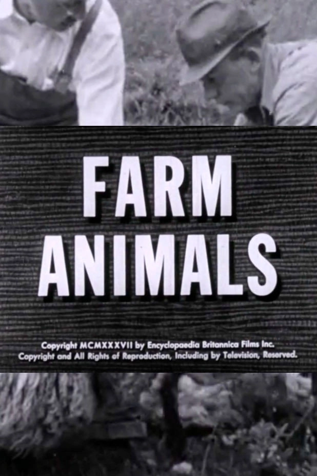Farm Animals