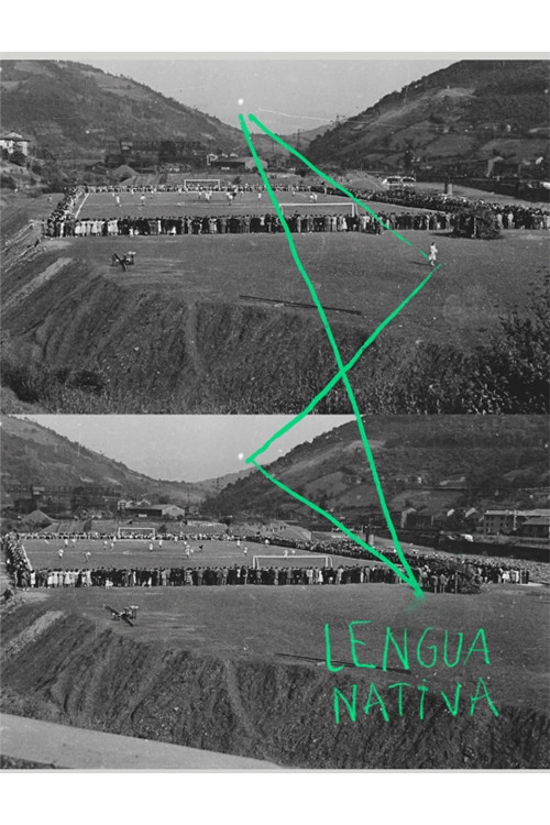 Lengua nativa