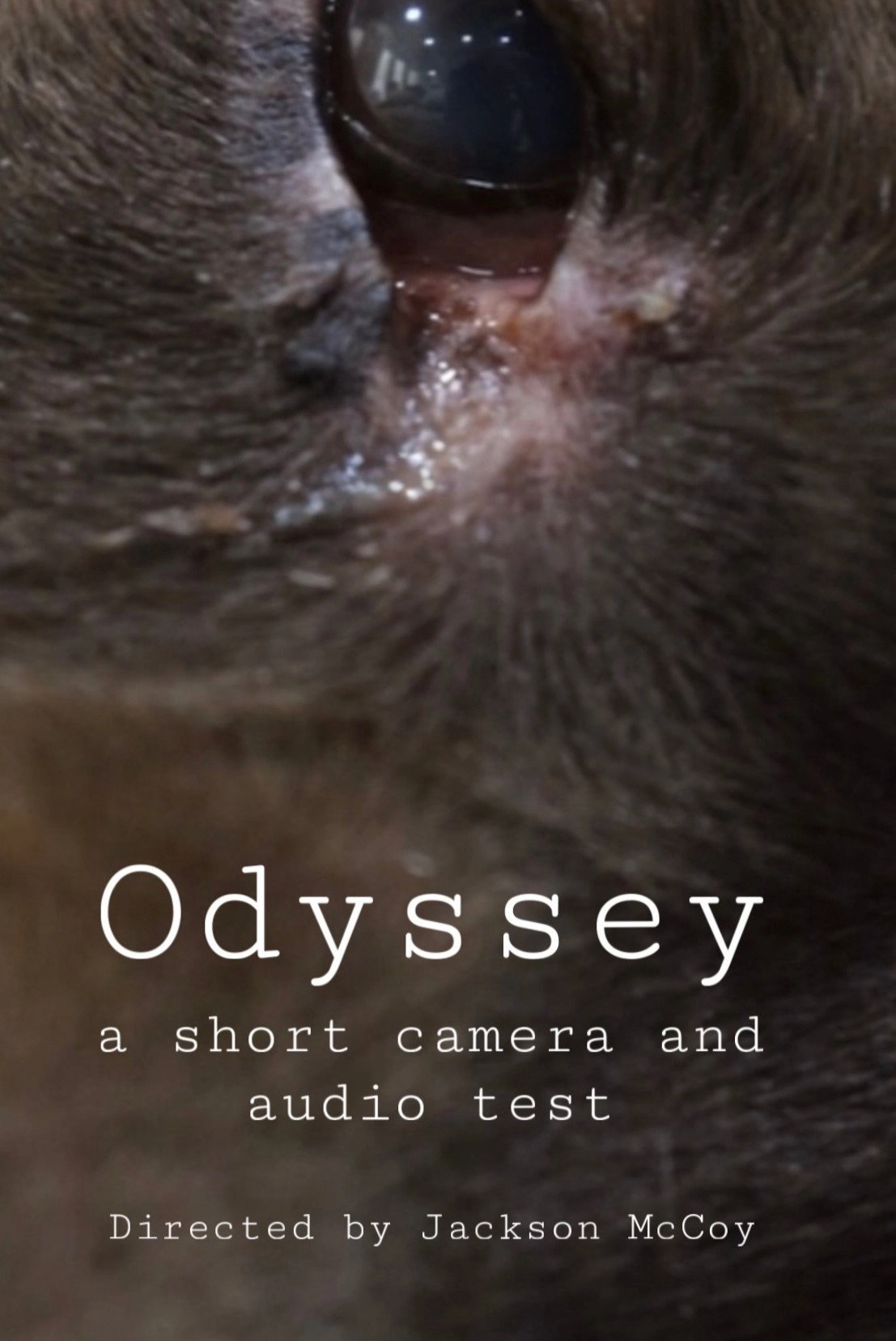 Odyssey - a camera and audio test