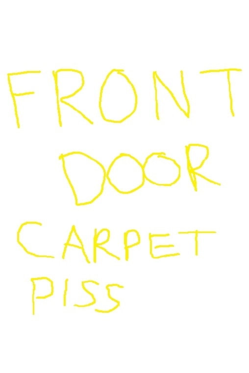 front door carpet piss