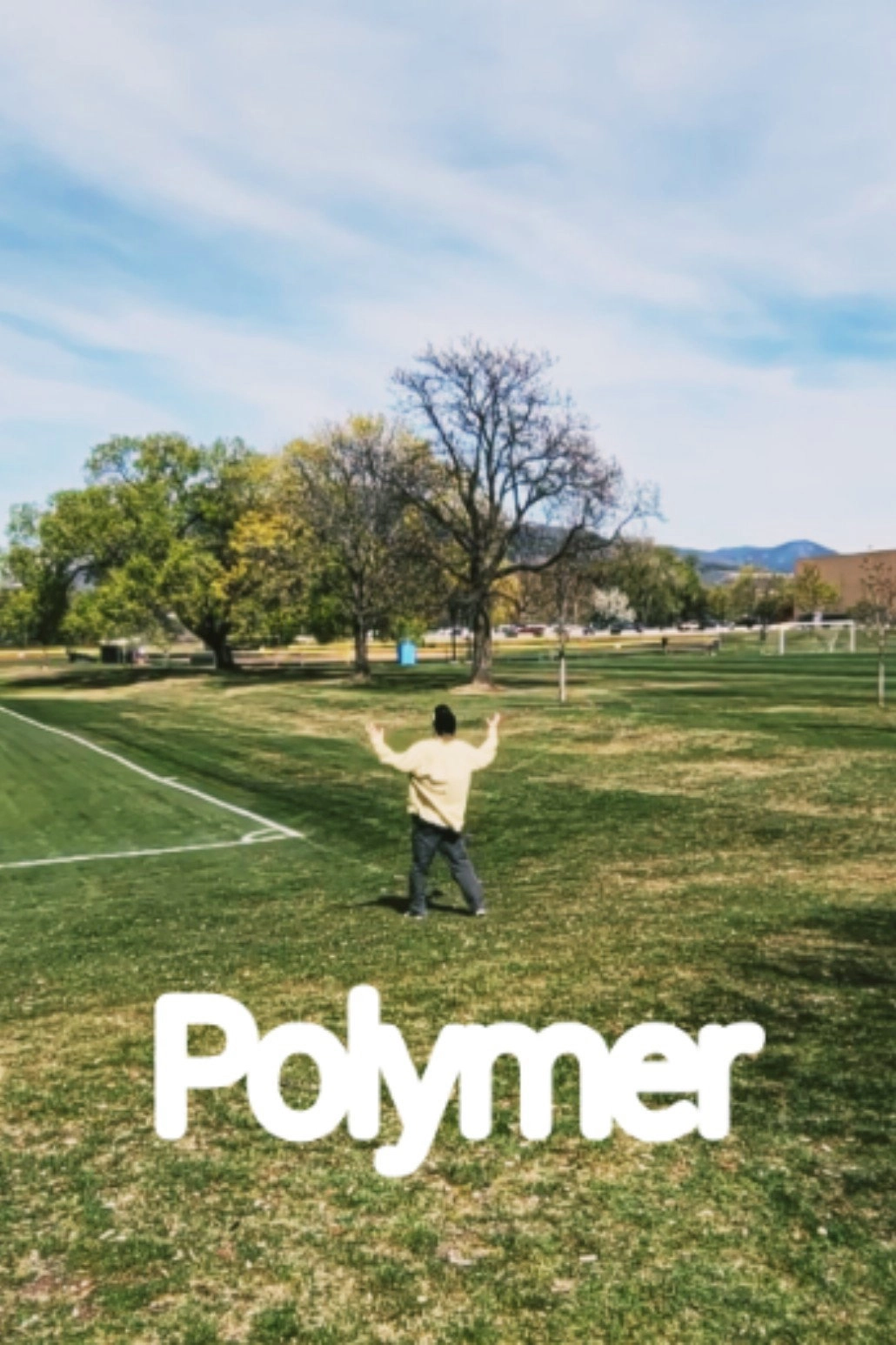 Polymer