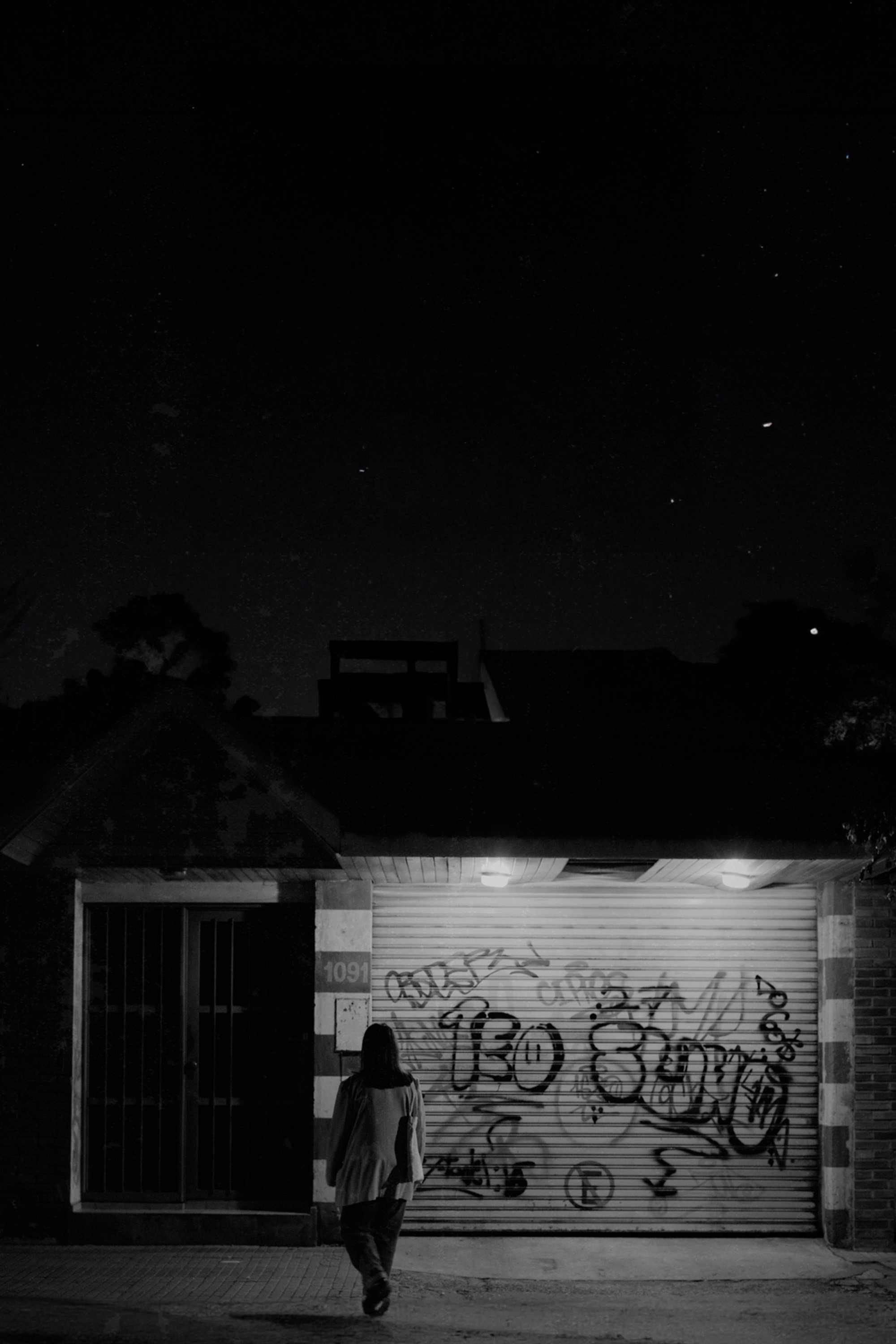 Birds sing at night