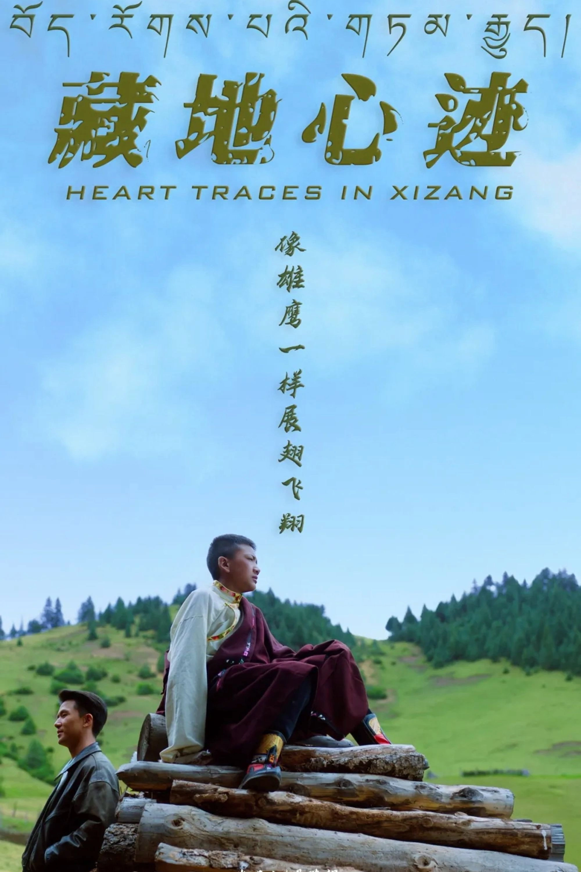 藏地心迹